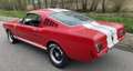 Ford Mustang Fastback GT350 Tribute Rosso - thumbnail 3