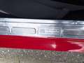 Ford Mustang Fastback GT350 Tribute Rojo - thumbnail 42