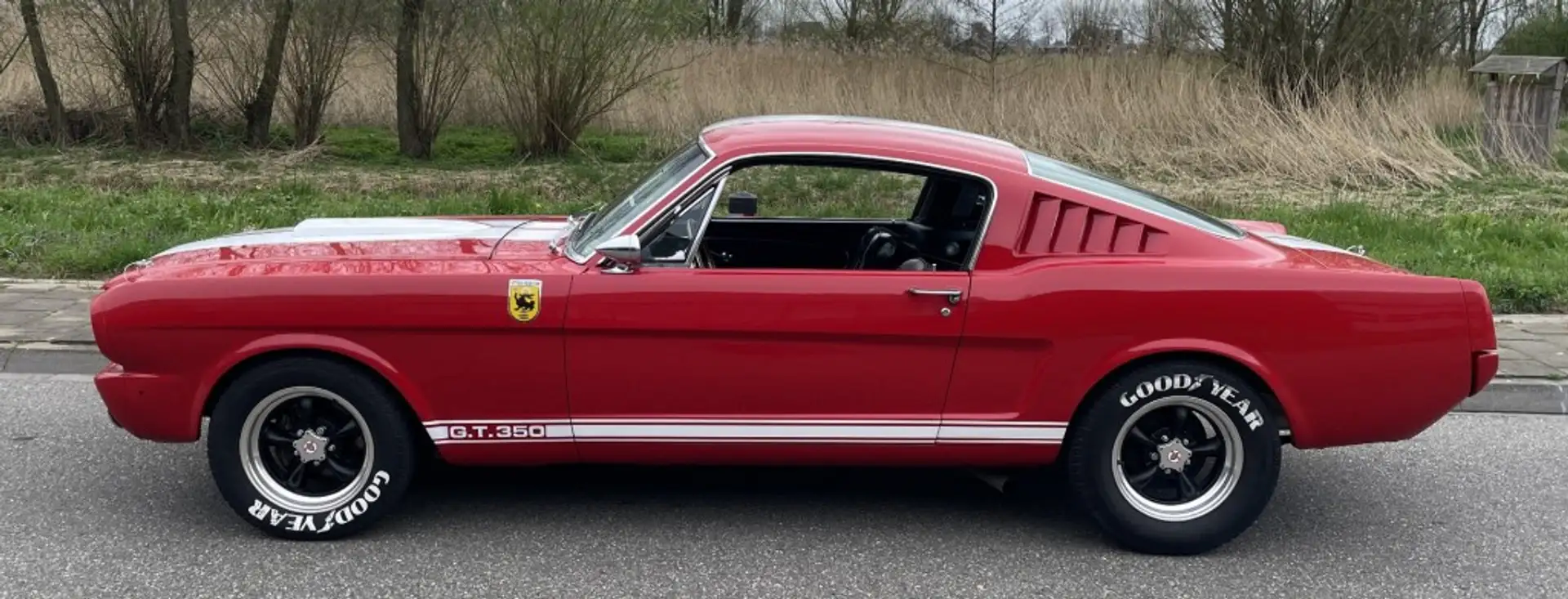 Ford Mustang Fastback GT350 Tribute Rojo - 2