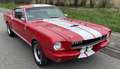 Ford Mustang Fastback GT350 Tribute Rojo - thumbnail 7