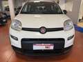 Fiat Panda Panda 1.0 firefly hybrid CityLife s VARIE UNITà Blanc - thumbnail 2