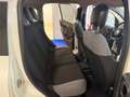 Fiat Panda Panda 1.0 firefly hybrid CityLife s VARIE UNITà Blanc - thumbnail 10