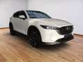 Mazda CX-5 Ad vantage 2WD 2.5 e-SKYACTIV-G 194 M-Hybrid HUD N Weiß - thumbnail 3