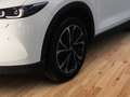 Mazda CX-5 Ad vantage 2WD 2.5 e-SKYACTIV-G 194 M-Hybrid HUD N Weiß - thumbnail 12