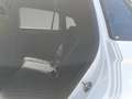 Volkswagen Tiguan R-Line TDI 4MOTION DSG Weiß - thumbnail 13