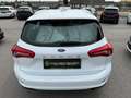 Ford Focus Traveller 1,5 EcoBlue Trend Edition Business Bianco - thumbnail 4