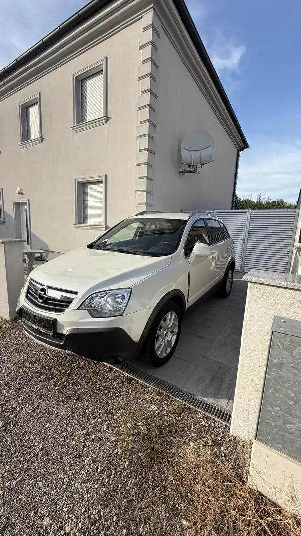 Opel Antara 2,0 Cosmo CDTI DPF Aut. - 2