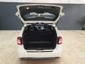 Mercedes-Benz B 180 CDI Wit - thumbnail 29