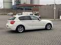 BMW 116 1-serie 116i Business Wit - thumbnail 6