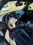 BMW M2 Blau - thumbnail 22