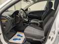 Kia Ceed / cee'd Ceed SW Für Gewerbe, Ex-/Import Weiß - thumbnail 10