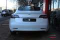 Tesla Model 3 Standard RWD Plus Blanco - thumbnail 6