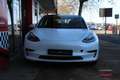 Tesla Model 3 Standard RWD Plus Blanco - thumbnail 3
