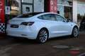 Tesla Model 3 Standard RWD Plus Blanco - thumbnail 32