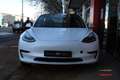 Tesla Model 3 Standard RWD Plus Blanco - thumbnail 34
