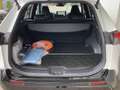 Toyota RAV4 RAV4 2,5 Hybrid PHEV Active AWD PORMPT verfügbar!! Weiß - thumbnail 12