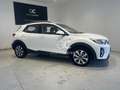 Kia Stonic 1.2 DPi Concept Blanco - thumbnail 5