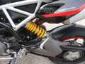 Ducati Hypermotard 950 HYPERMOTARD 950 RVE Rosso - thumbnail 15