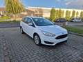 Ford Focus 1.0 EcoBoost - Airco + Keuring - 113.600 km - thumbnail 1