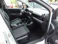 Citroen C3 Aircross Feel Weiß - thumbnail 9