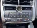 Lexus NX 300h 300h Auriu - thumbnail 10