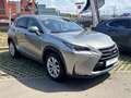 Lexus NX 300h 300h Auriu - thumbnail 3