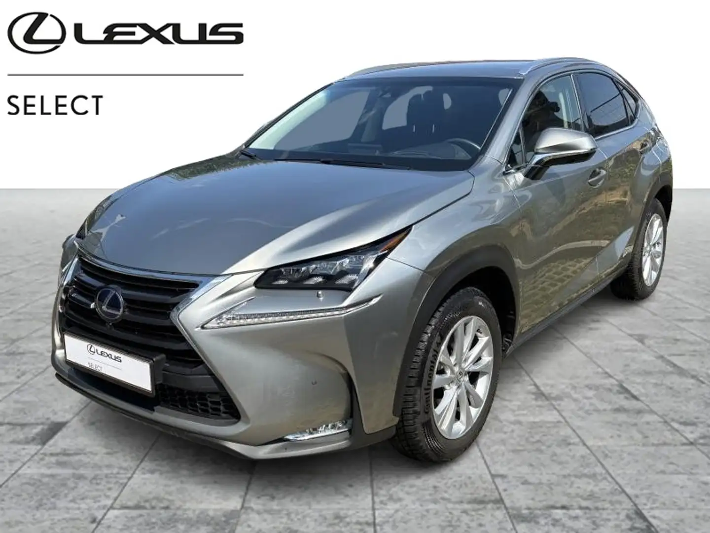 Lexus NX 300h 300h Auriu - 1