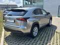 Lexus NX 300h 300h Auriu - thumbnail 4