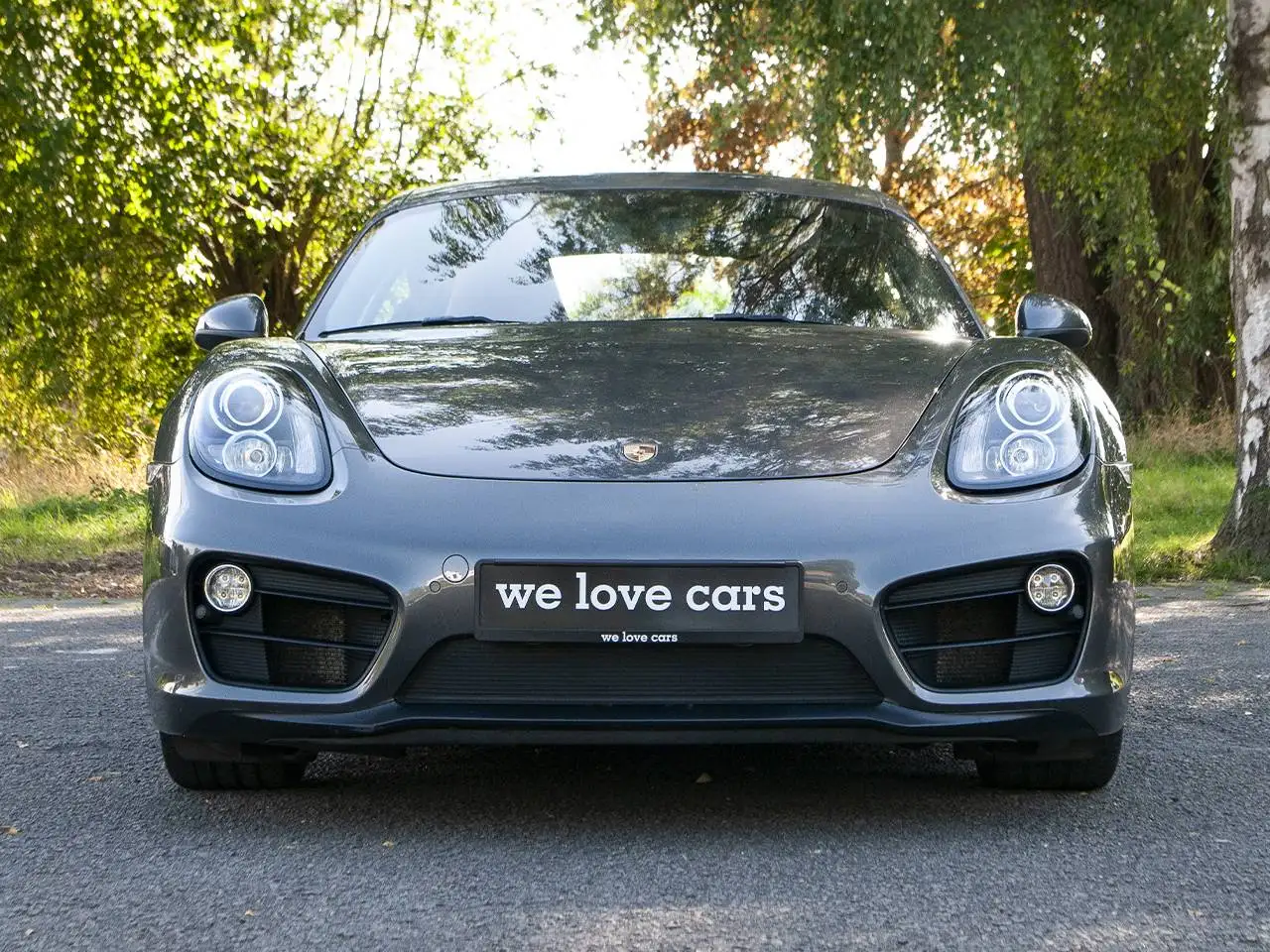 Porsche Cayman