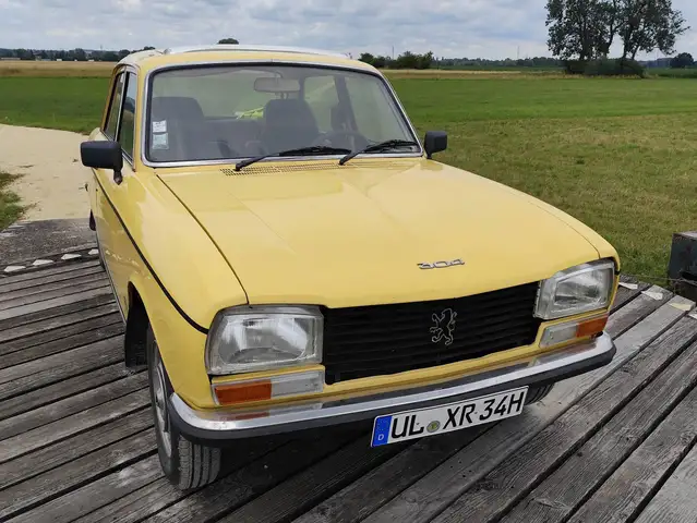 Peugeot 304 s