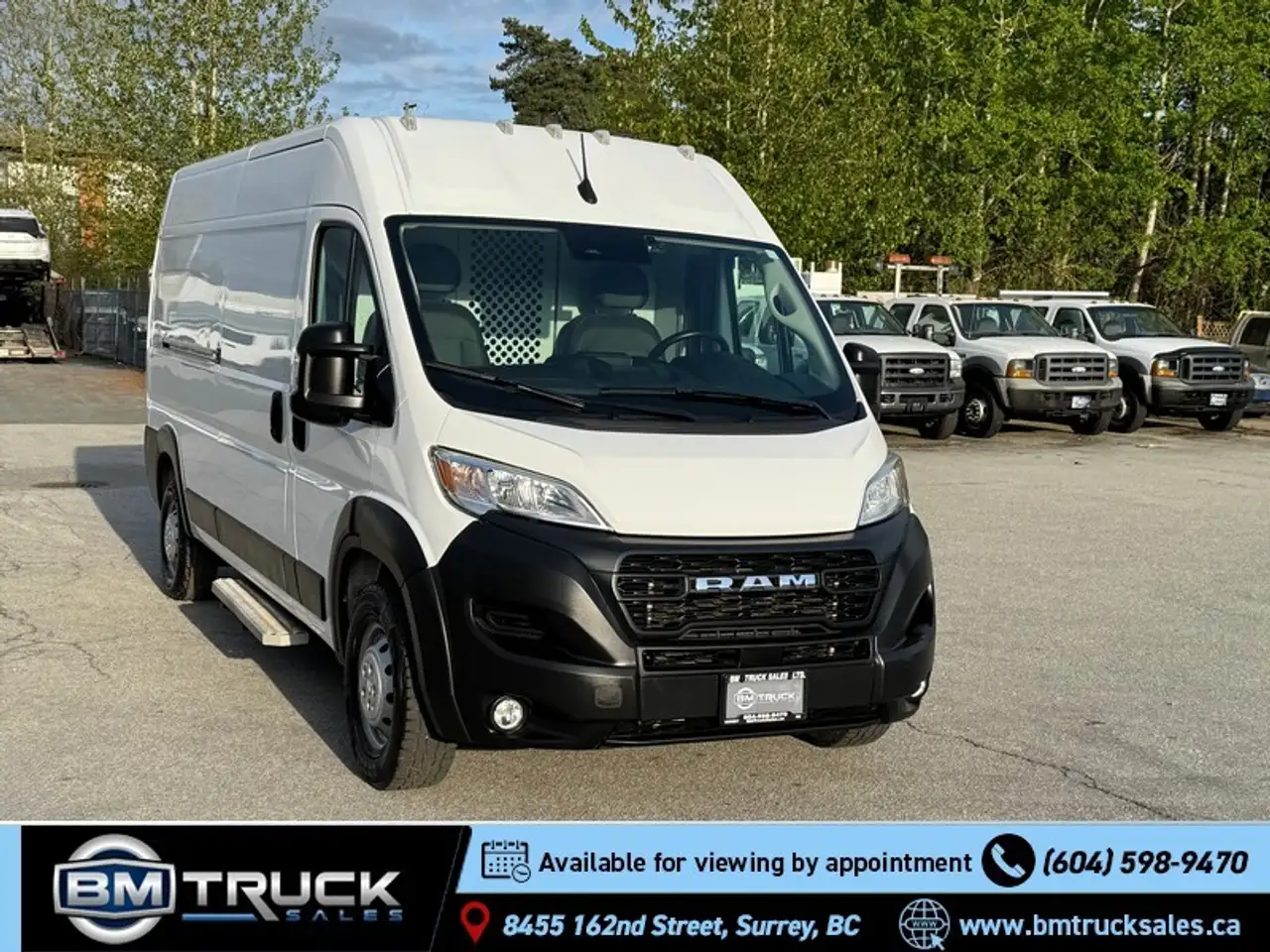RAM Promaster снимка RAM Promaster