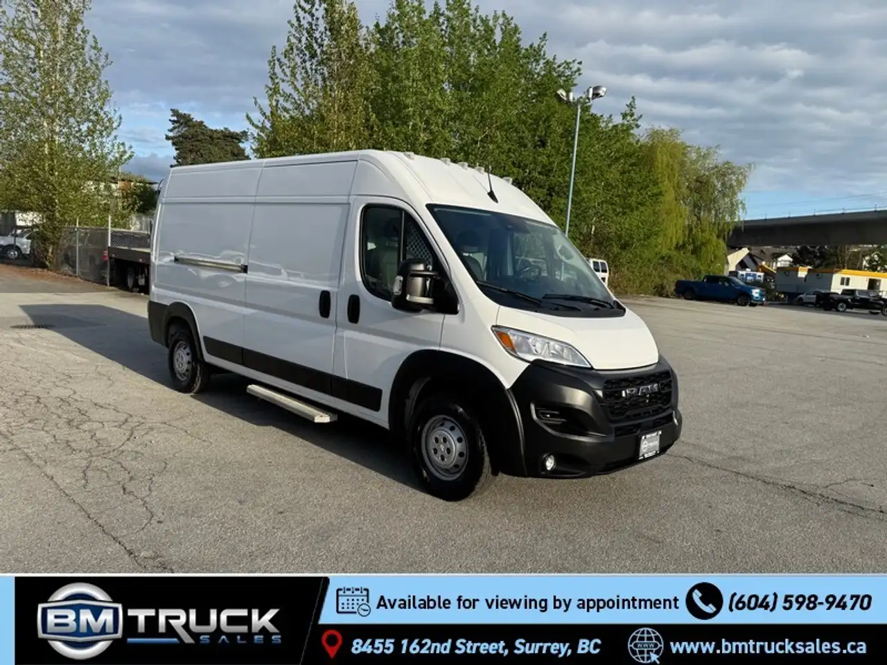 RAM Promaster снимка RAM Promaster