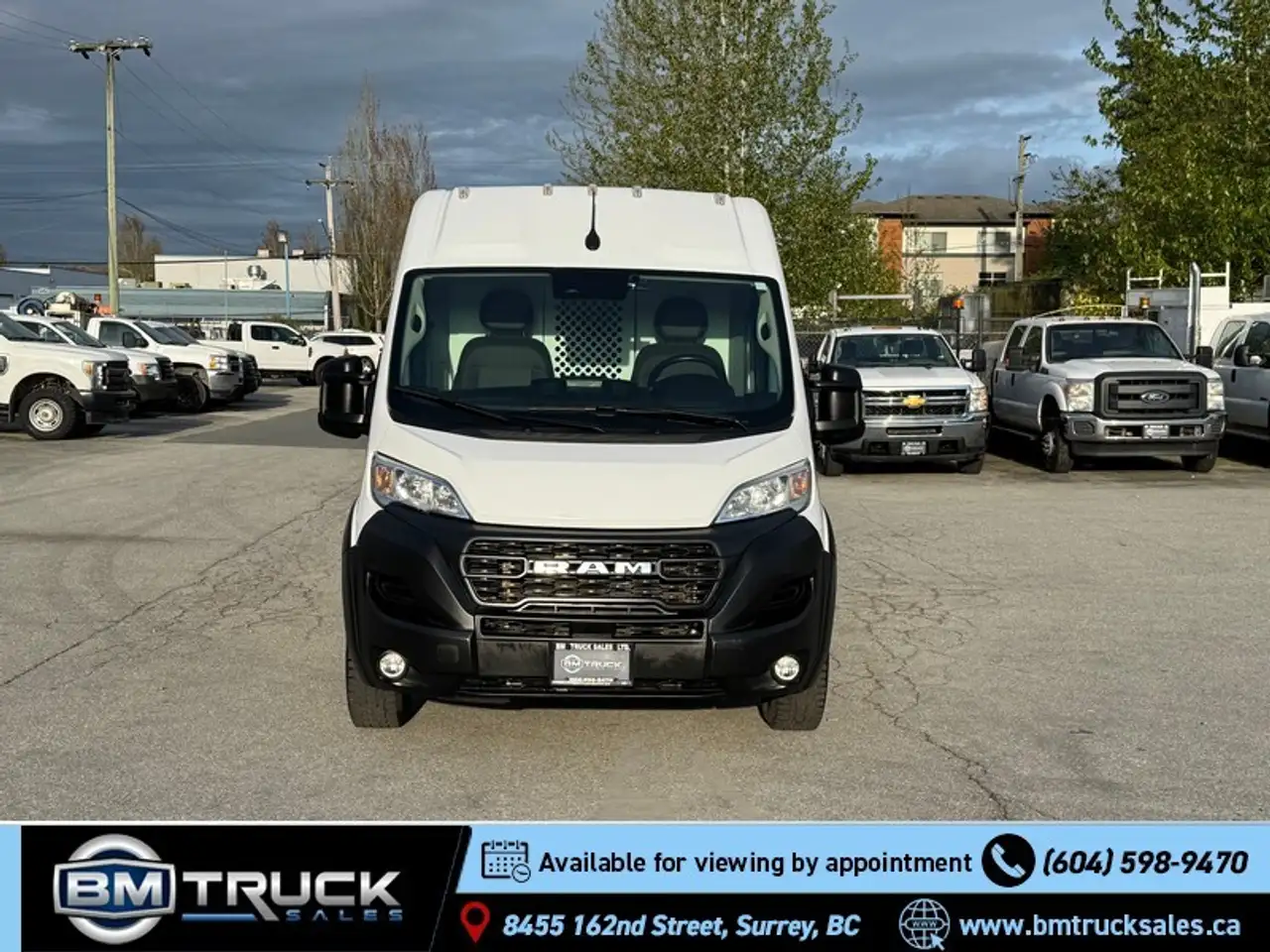 RAM Promaster снимка RAM Promaster