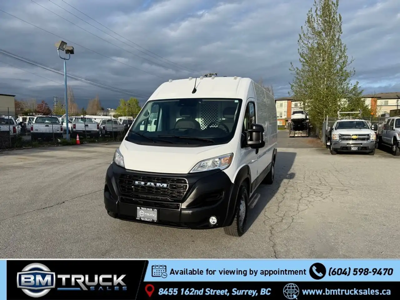 RAM Promaster снимка RAM Promaster