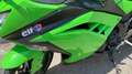 Kawasaki Ninja 300 Vert - thumbnail 6