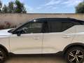 Volvo XC40 XC40 2.0 d3 R-design auto my21 Argento - thumbnail 6