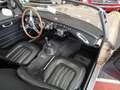 Austin-Healey 3000 BJ7 MK2 1962. - thumbnail 15