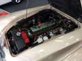 Austin-Healey 3000 BJ7 MK2 1962. - thumbnail 26