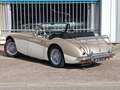 Austin-Healey 3000 BJ7 MK2 1962. - thumbnail 9