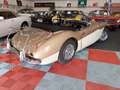 Austin-Healey 3000 BJ7 MK2 1962. - thumbnail 13