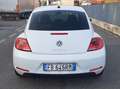 Volkswagen Maggiolino 2.0 tdi Sport 150cv dsg Euro 6 White - thumbnail 5