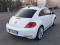 Volkswagen Maggiolino 2.0 tdi Sport 150cv dsg Euro 6 Bianco - thumbnail 3
