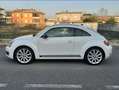 Volkswagen Maggiolino 2.0 tdi Sport 150cv dsg Euro 6 White - thumbnail 6