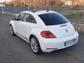 Volkswagen Maggiolino 2.0 tdi Sport 150cv dsg Euro 6 Fehér - thumbnail 2