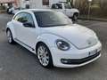 Volkswagen Maggiolino 2.0 tdi Sport 150cv dsg Euro 6 Bianco - thumbnail 4