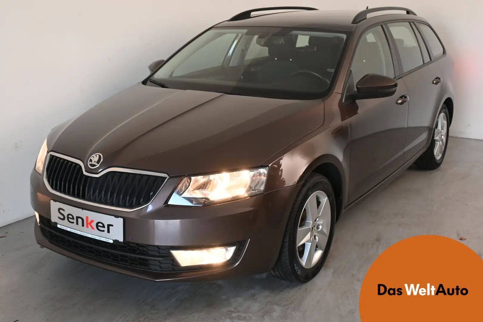 Skoda Octavia Ambition TDI Marrone - 1