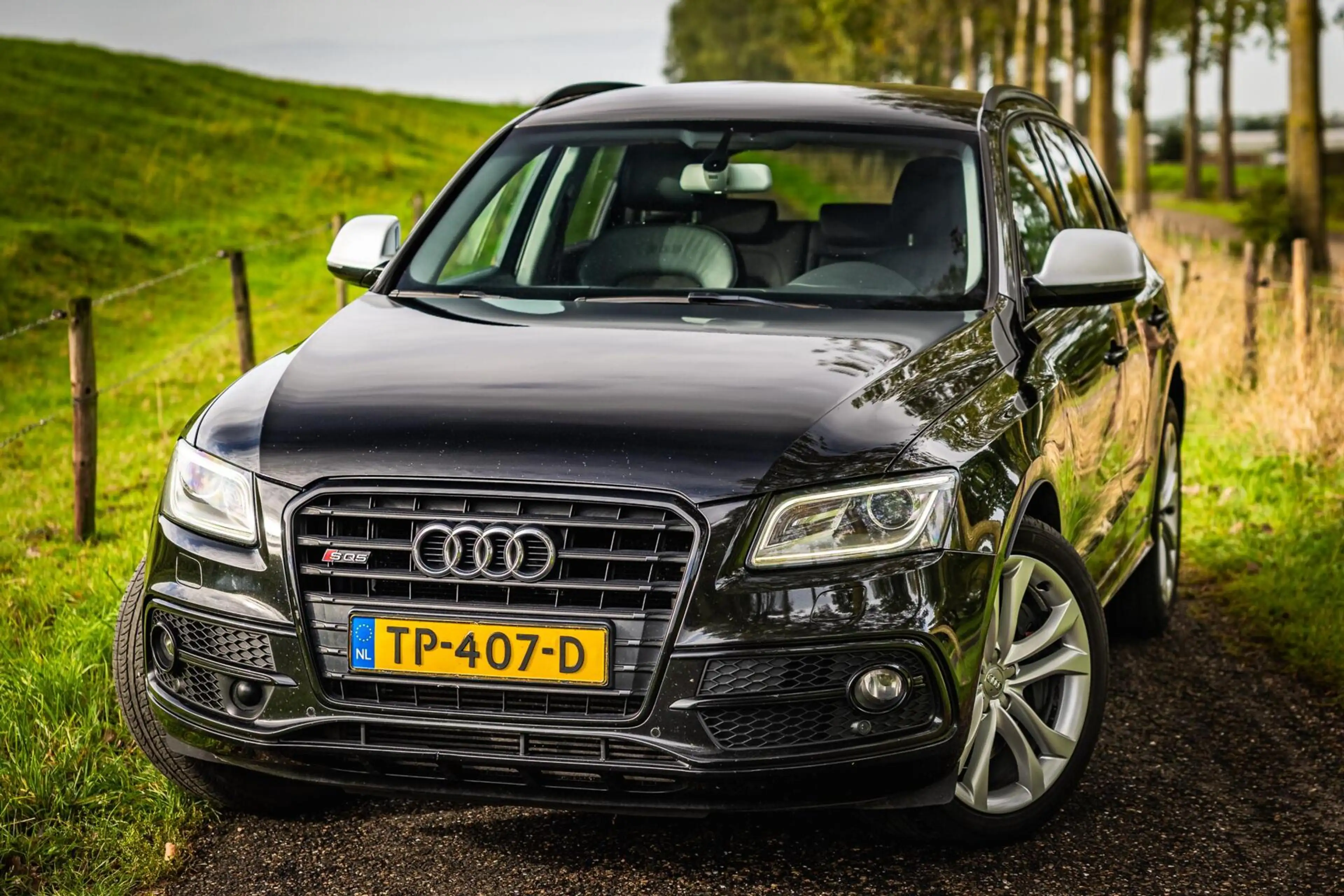 Audi SQ5 3.0 TDI SQ5 quattro Pro Line |Volledig onderhouden — photo 3