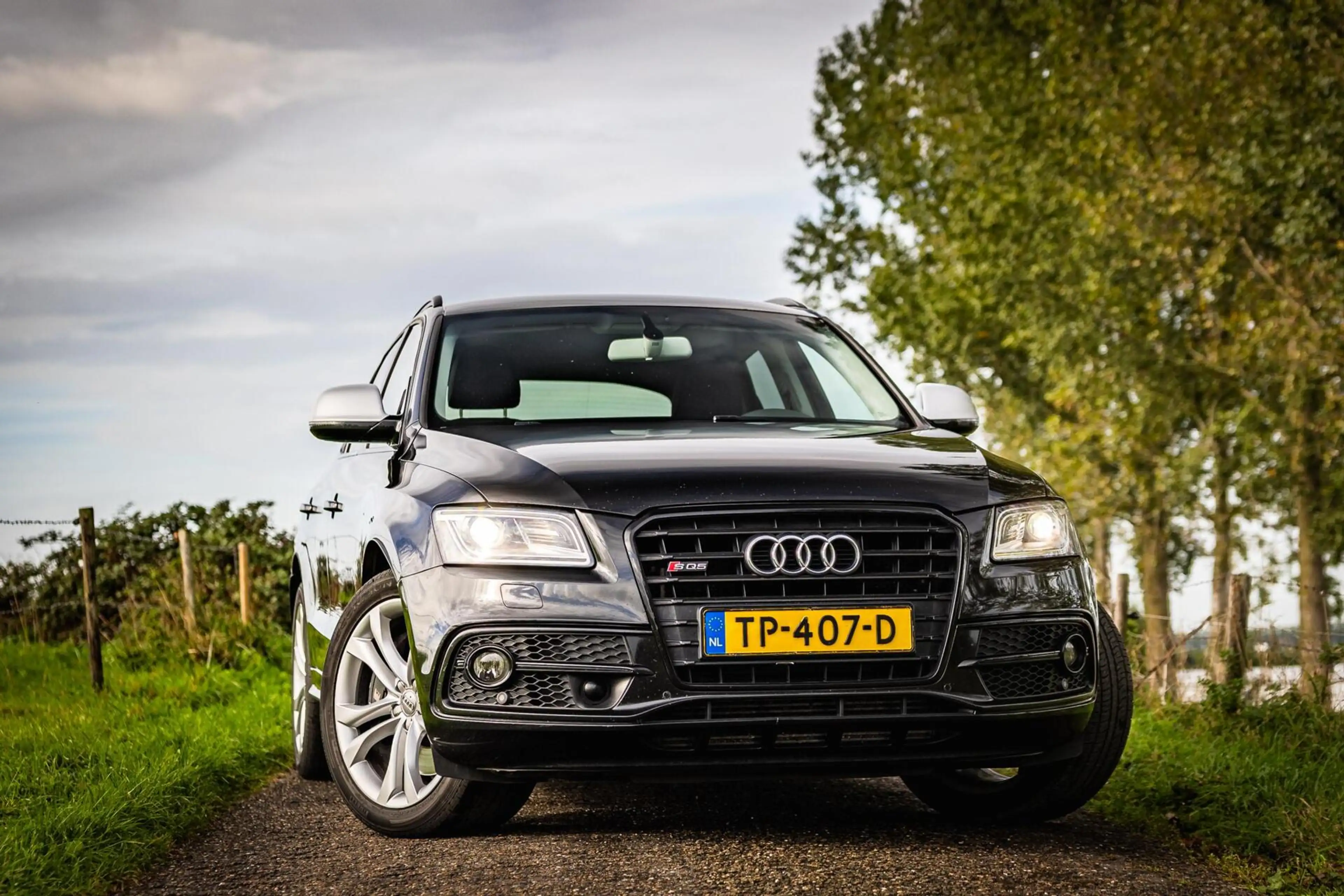 Audi SQ5 3.0 TDI SQ5 quattro Pro Line |Volledig onderhouden — photo 21
