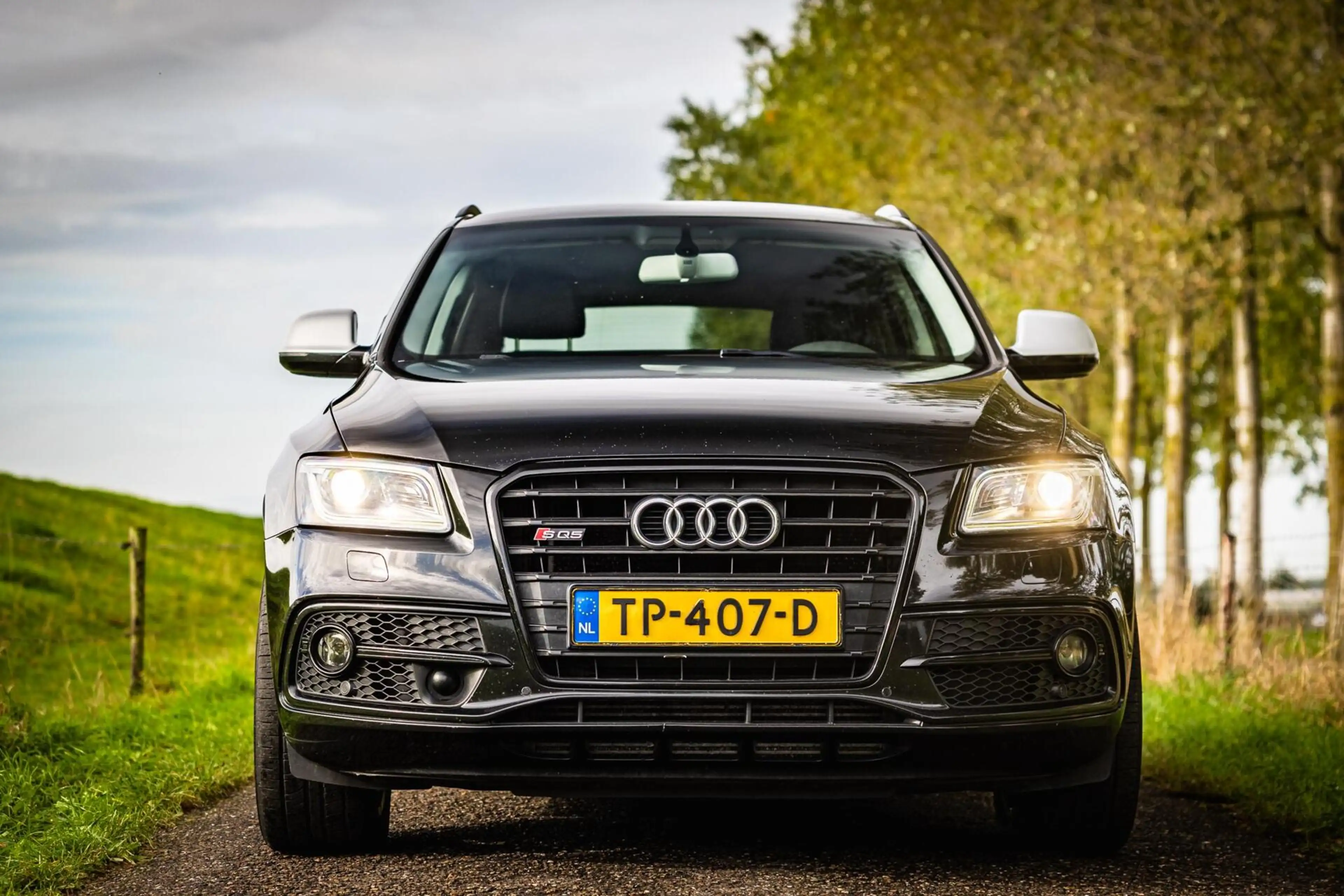 Audi SQ5 3.0 TDI SQ5 quattro Pro Line |Volledig onderhouden — photo 20