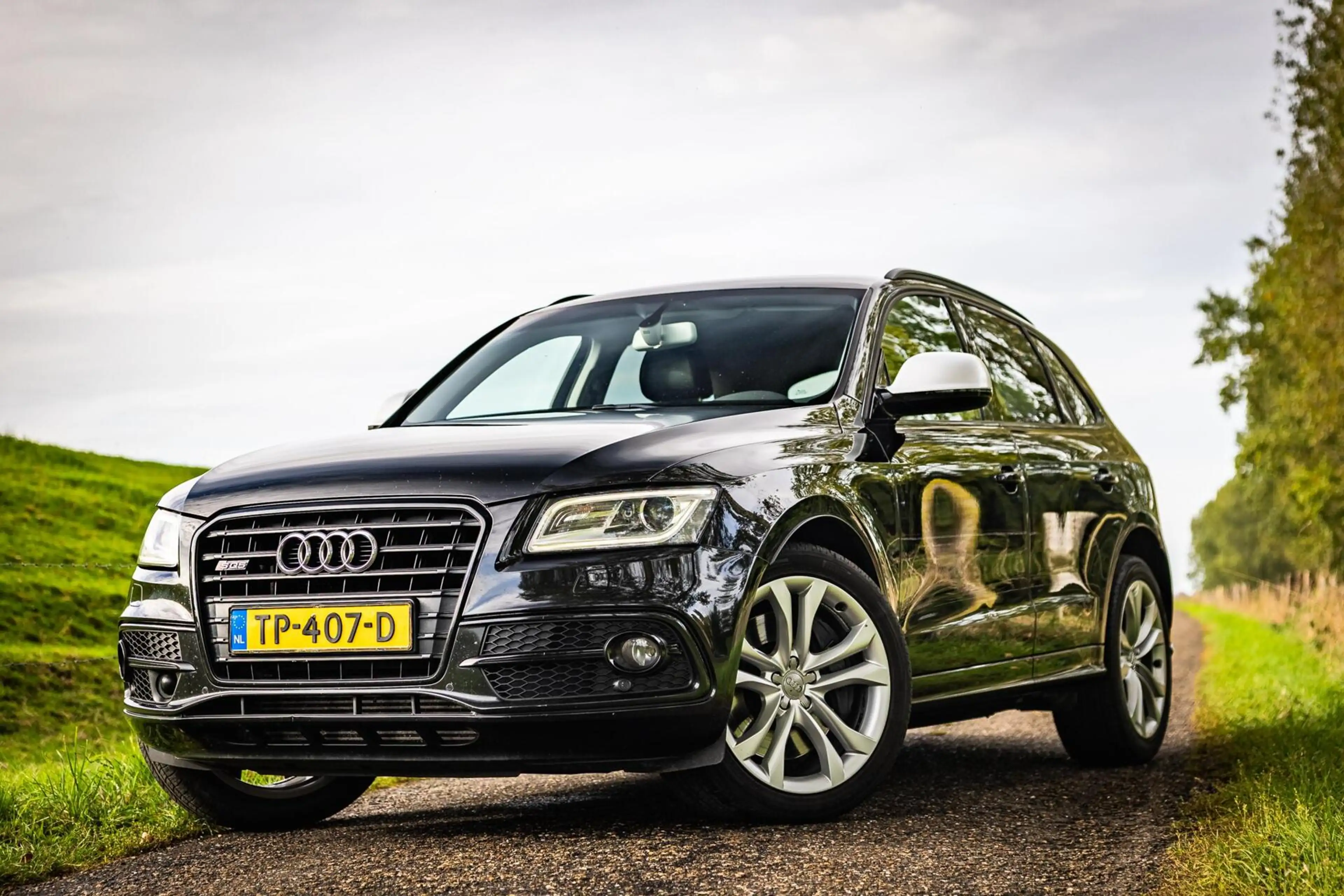 Audi SQ5 3.0 TDI SQ5 quattro Pro Line |Volledig onderhouden — photo 35